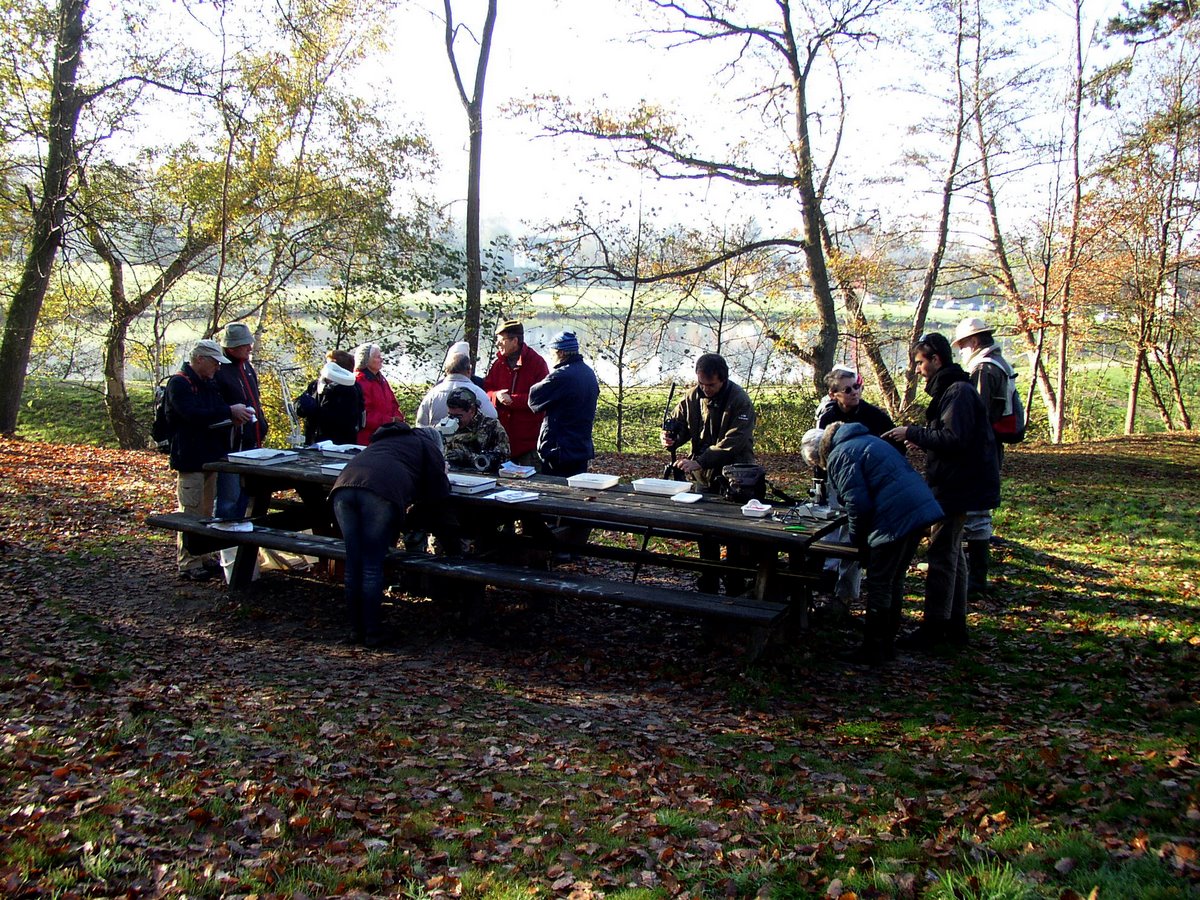 2011 11 Macrofaune benthique St Léger 08